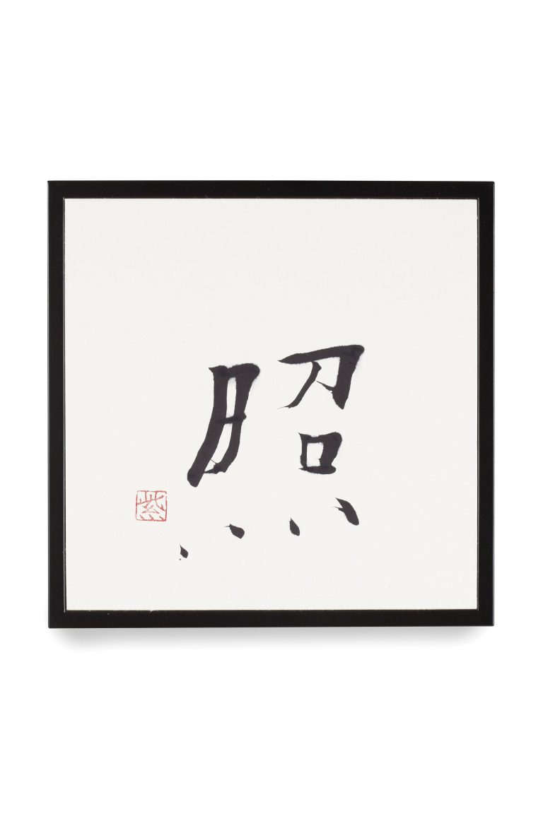 照