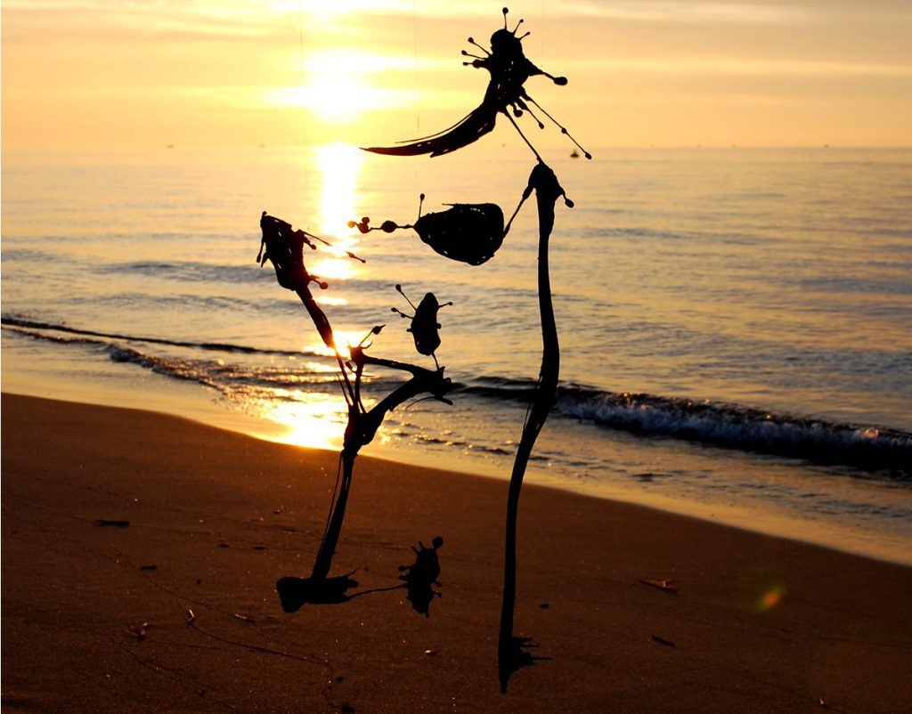 Sunset breeze