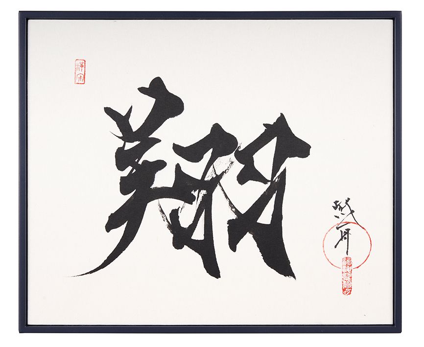 翔