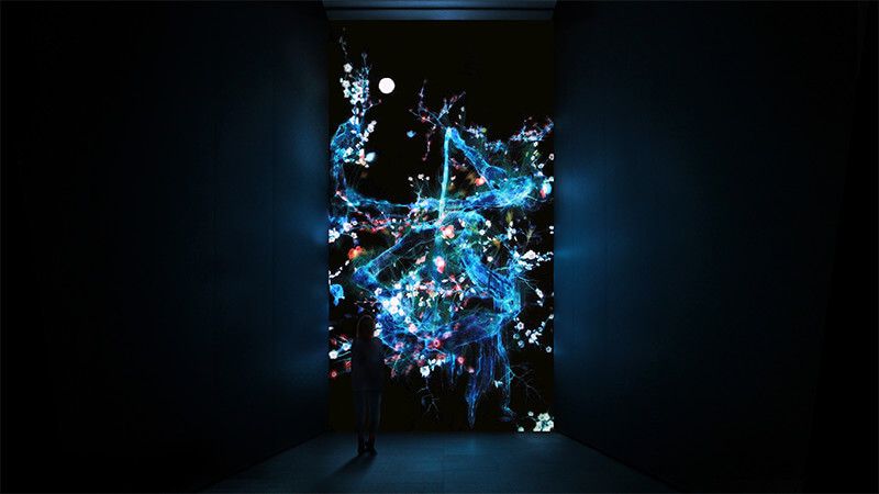 チームラボ「Between Art and Physical Space」紫舟コラボ作品 展示