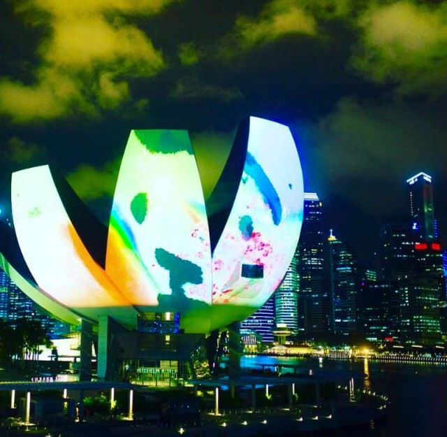 チームラボ「FUTURE WORLD: WHERE ART MEETS SCIENCE」紫舟コラボ作品 展示