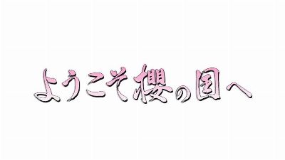 TOKYO MX 「ようこそ櫻の国へ」 / 書家 紫舟(ししゅう)